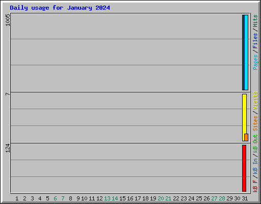 Daily usage for January 2024