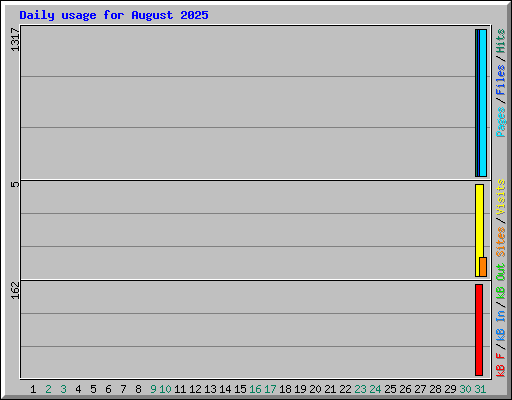 Daily usage for August 2025