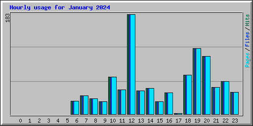 Hourly usage for January 2024