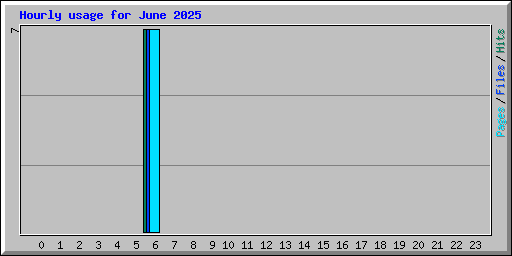 Hourly usage for June 2025