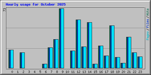 Hourly usage for October 2025