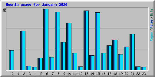 Hourly usage for January 2026